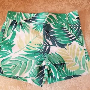 Palm leaves short